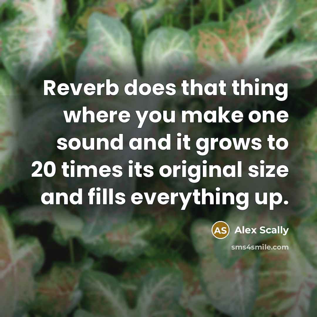 “Reverb does that thing where you make one sound and…” quote by Alex Scally