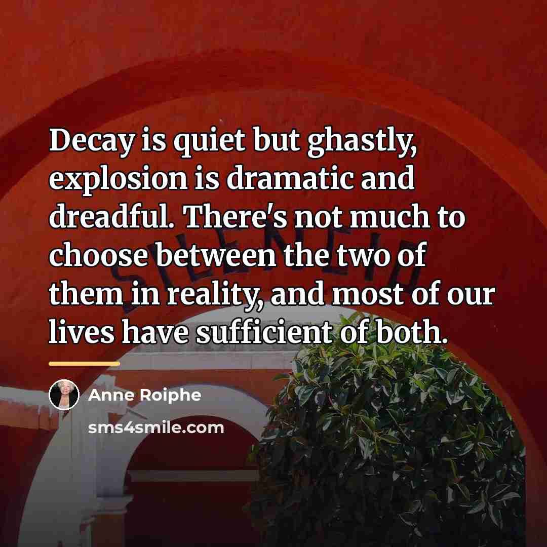 “Decay is quiet but ghastly, explosion is dramatic and dreadful.…” quote by Anne Roiphe