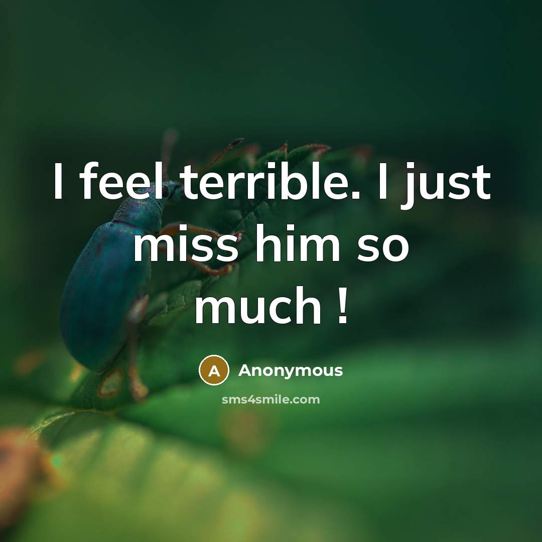 “I feel terrible. I just miss him so much !…” quote by Anonymous