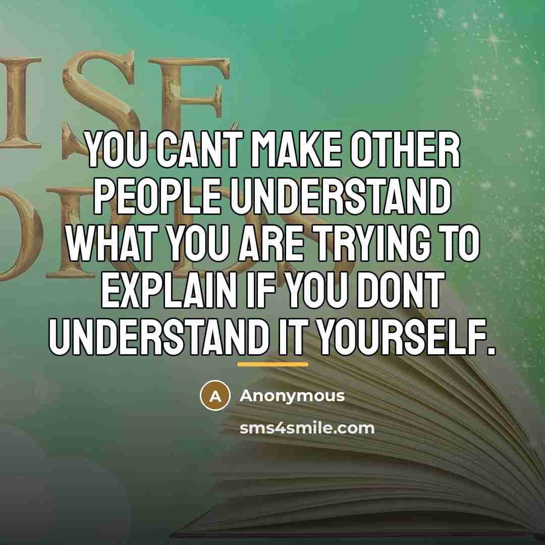 “You cant make other people understand what you are trying…” quote by Anonymous