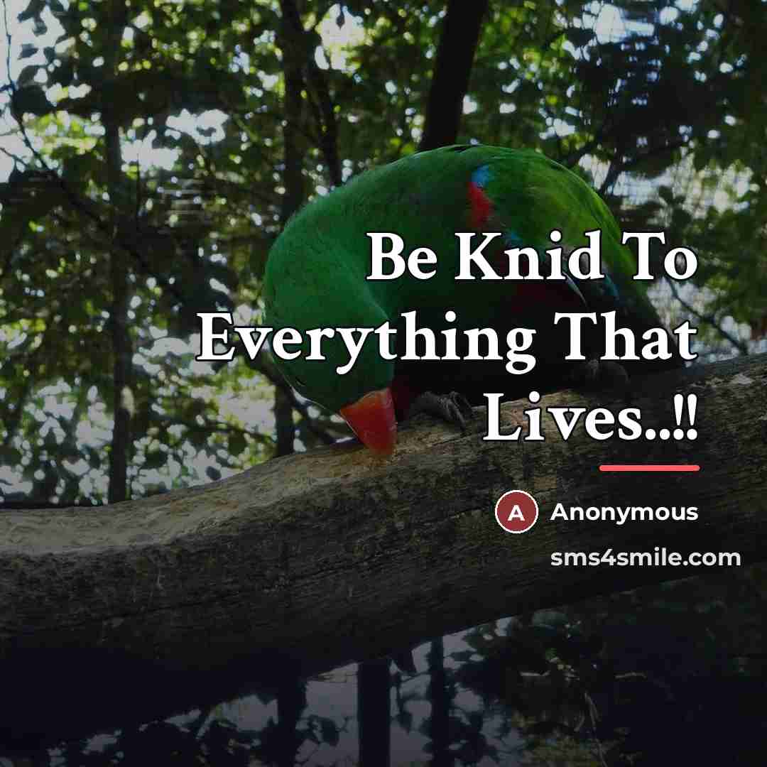 “Be Knid To Everything That Lives..!!…” quote by Anonymous