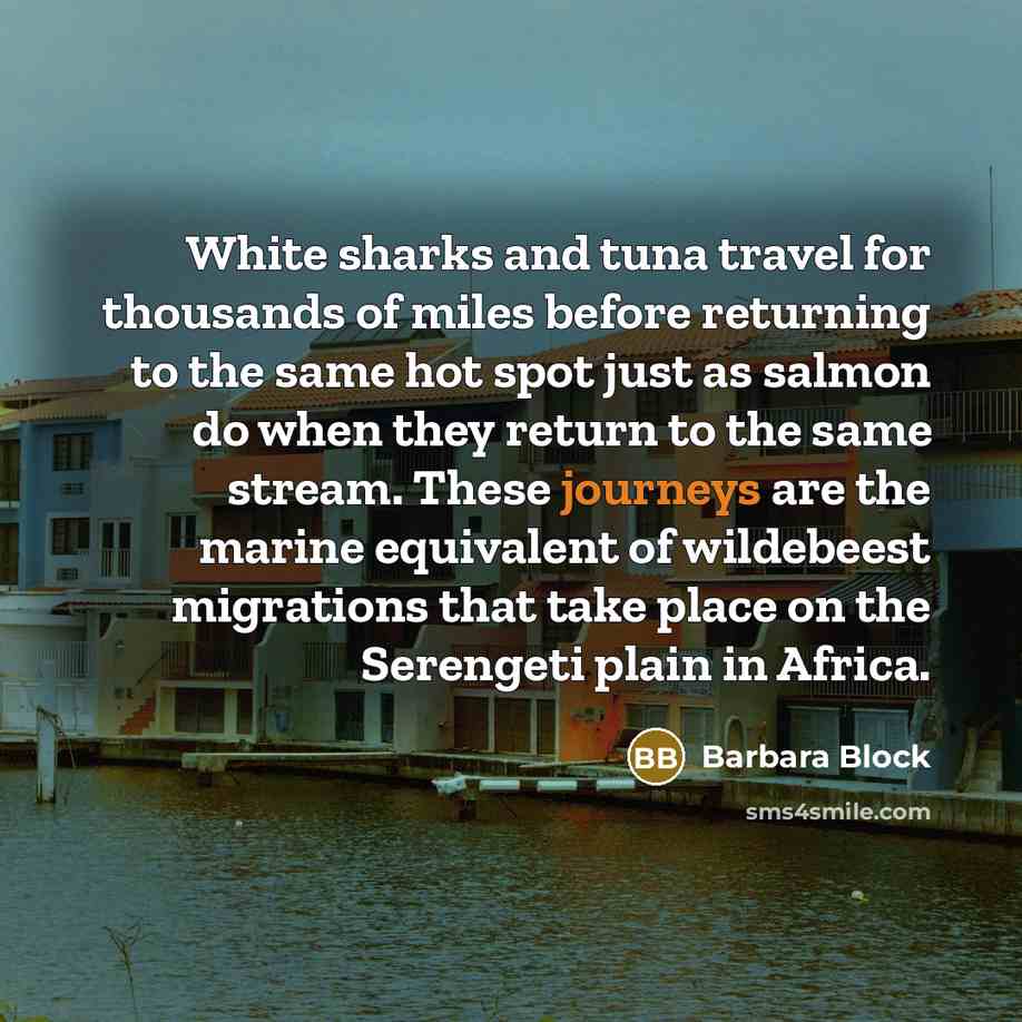 “White sharks and tuna travel for thousands of miles before…” quote by Barbara Block