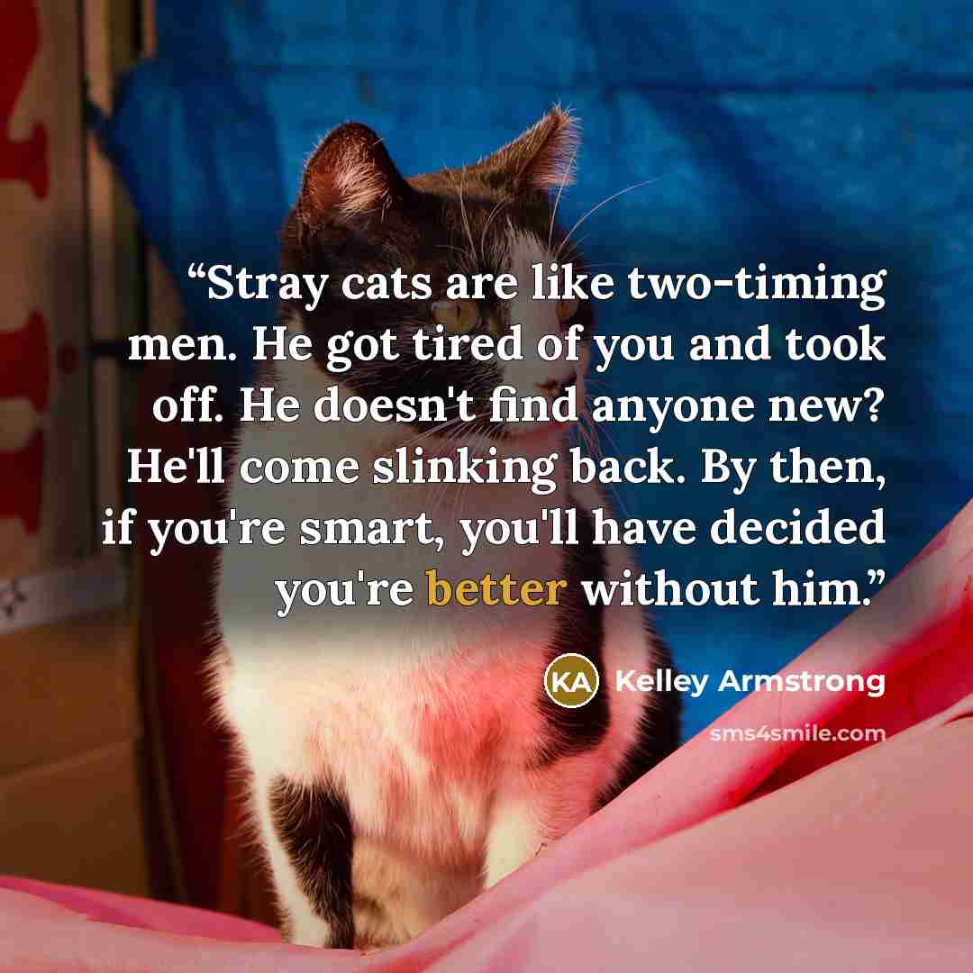 “Stray cats are like two-timing men. He got tired of you and took off. He doesn't find anyone new? He'll come slinking back. By then, if you're smart, you'll have decided you're better without him.” quote by Kelley Armstrong