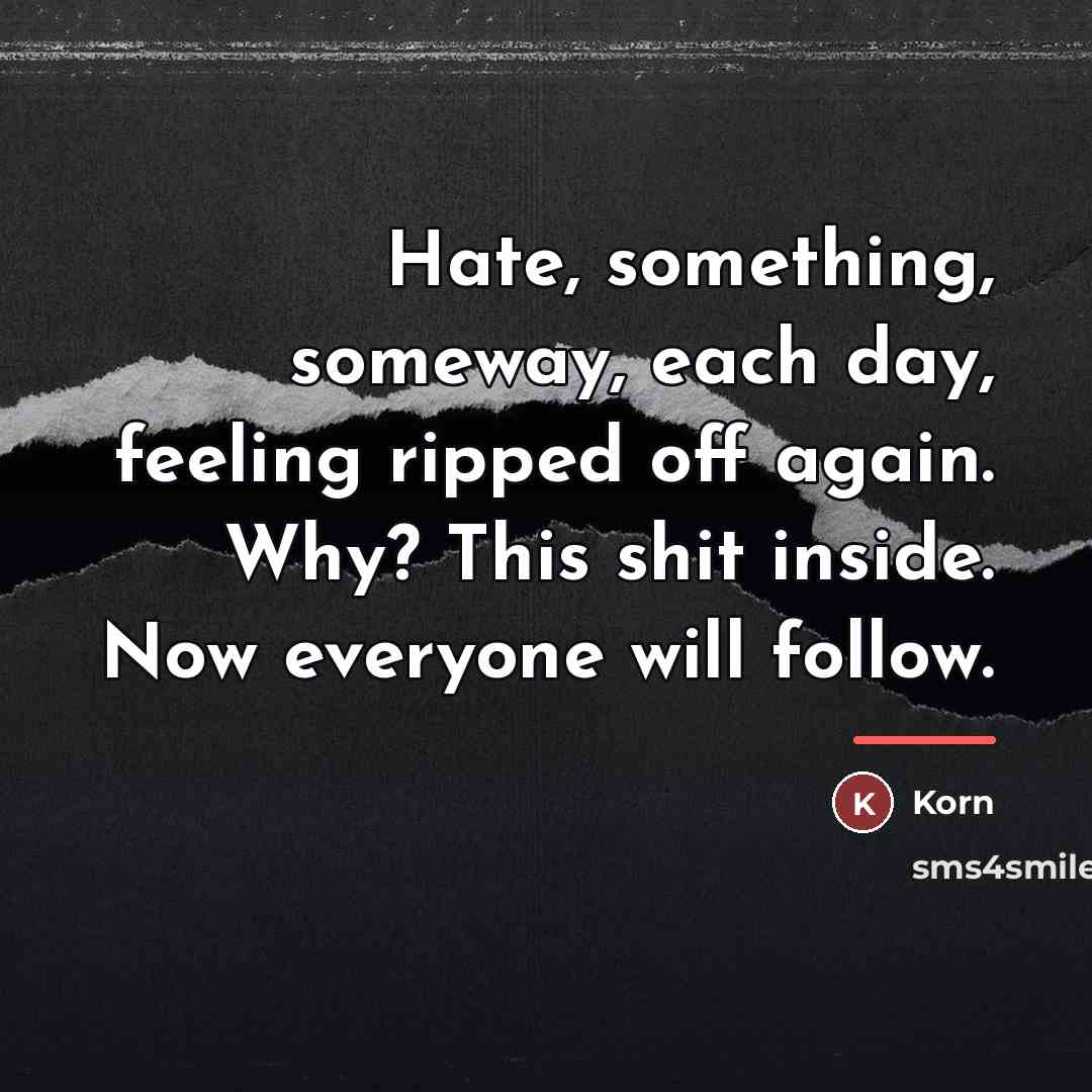 “Hate, something, someway, each day, feeling ripped off again. Why?…” quote by Korn