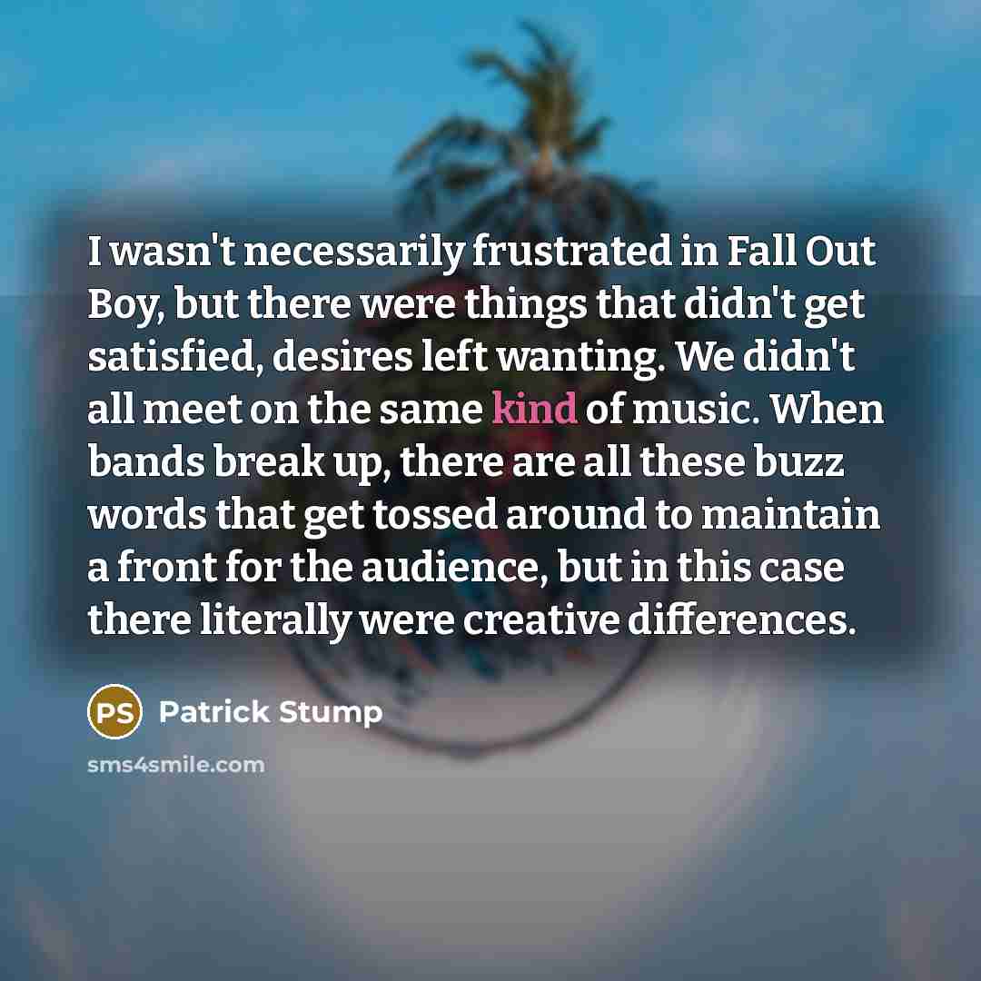 “I wasn't necessarily frustrated in Fall Out Boy, but there…” quote by Patrick Stump