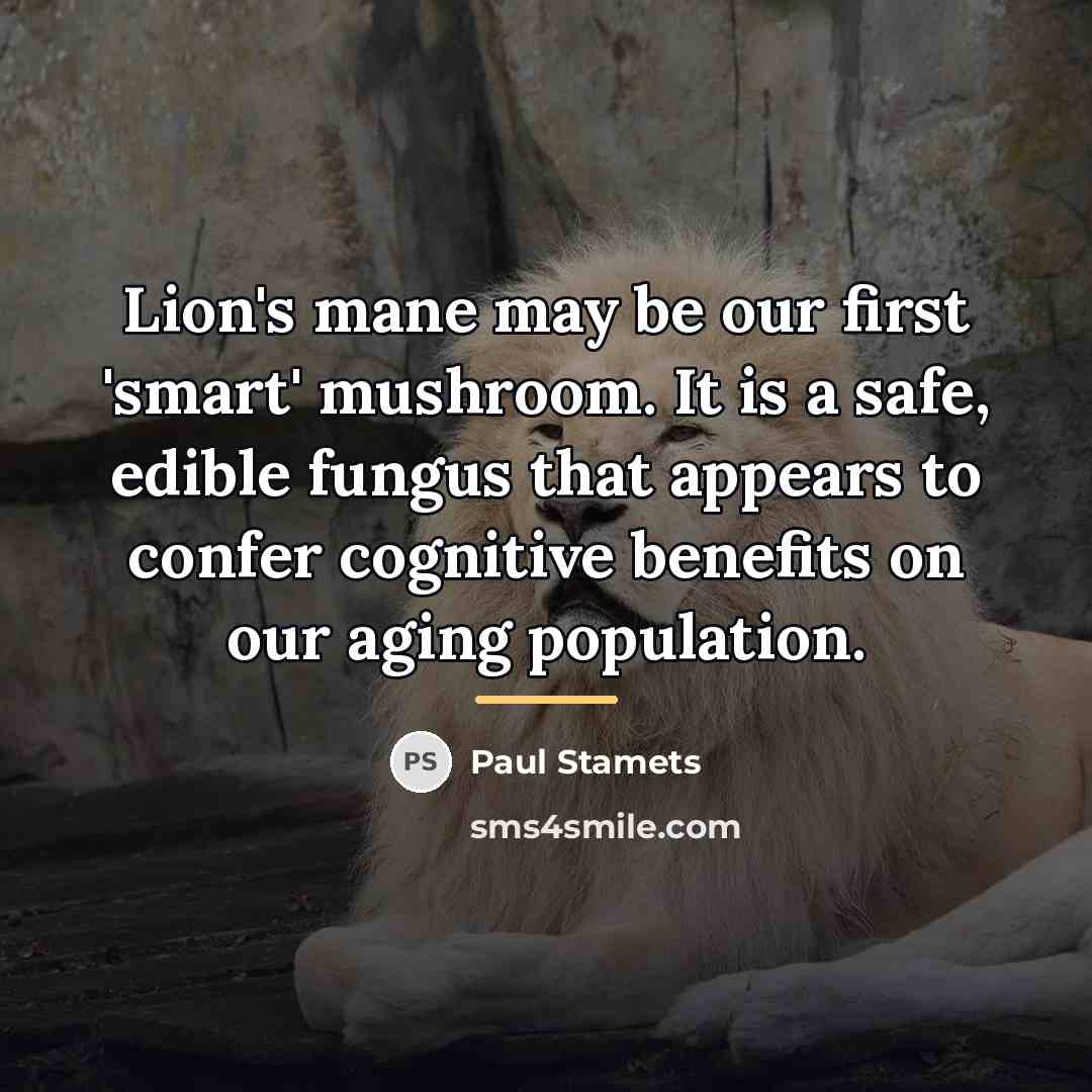 “Lion's mane may be our first 'smart' mushroom. It is…” quote by Paul Stamets