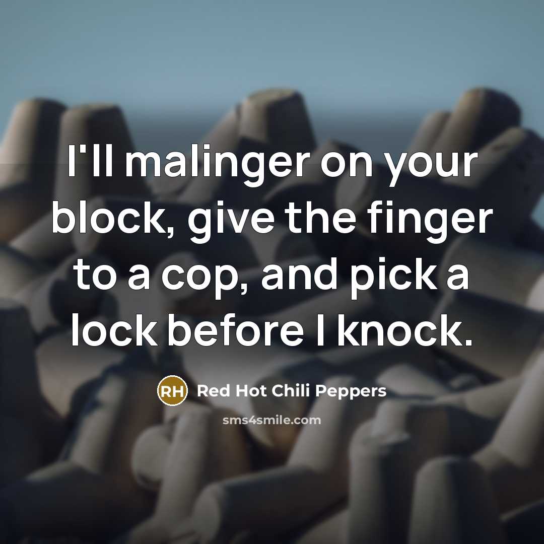 “I'll malinger on your block, give the finger to a…” quote by Red Hot Chili Peppers