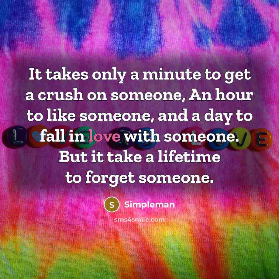 “It takes only a minute to get a crush on…” quote by Simpleman