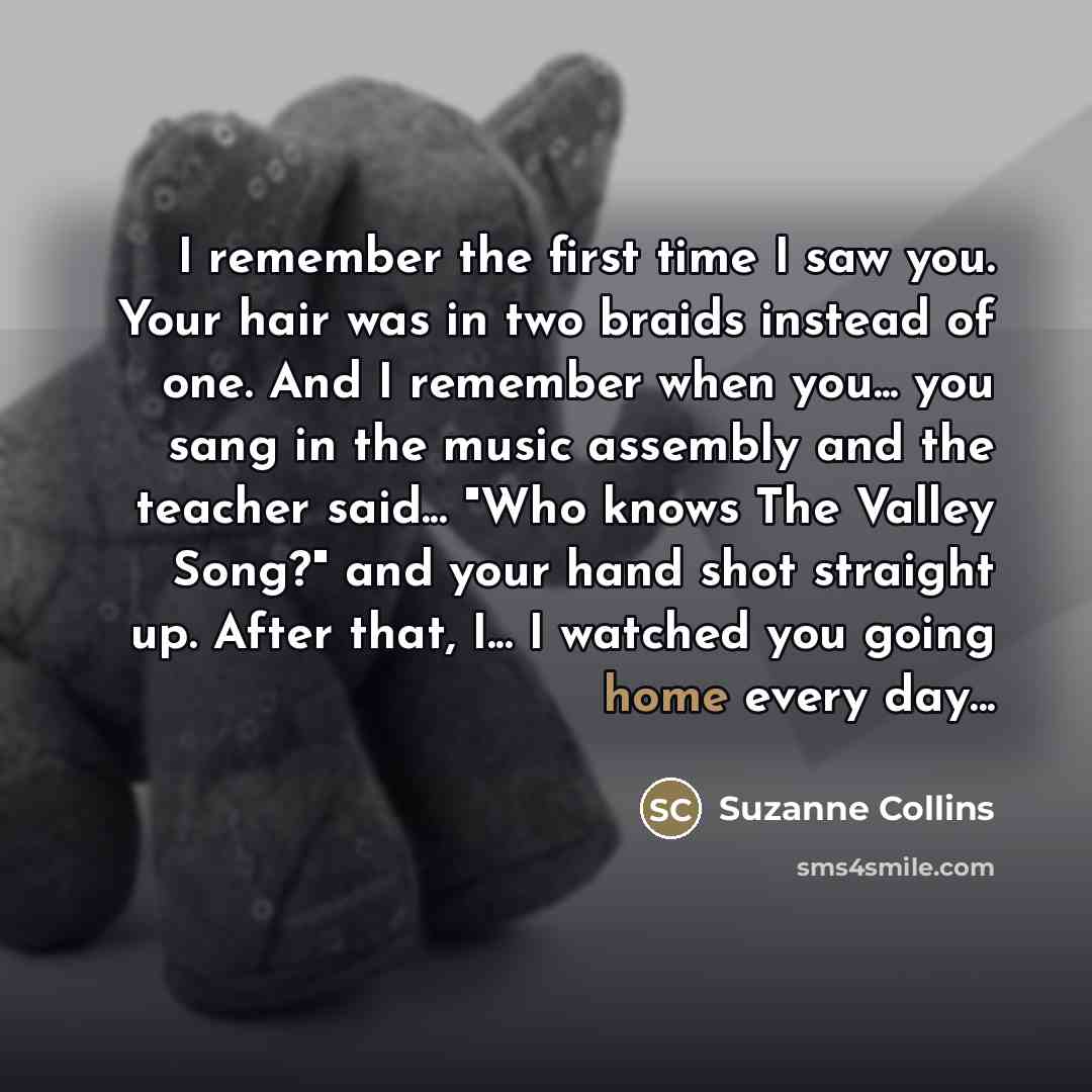 “I remember the first time I saw you. Your hair…” quote by Suzanne Collins
