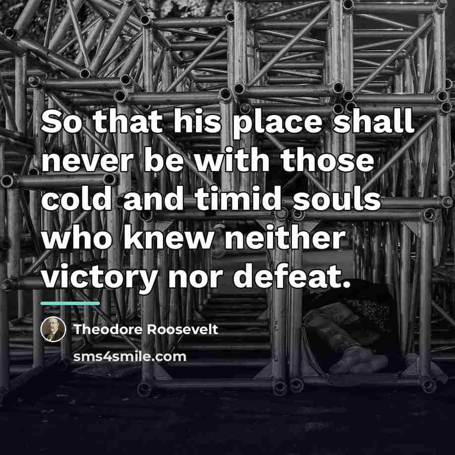 “So that his place shall never be with those cold…” quote by Theodore Roosevelt