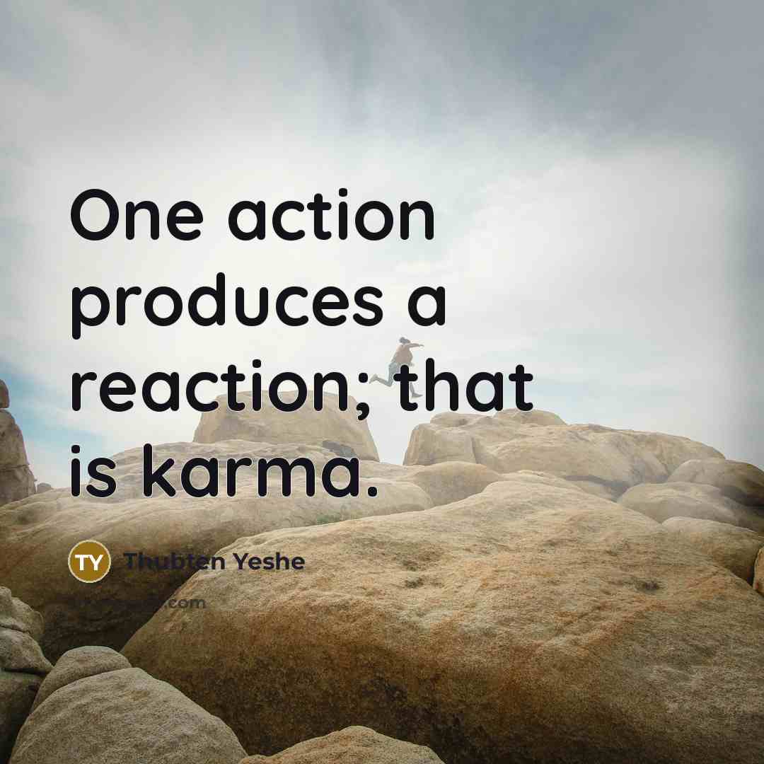 “One action produces a reaction; that is karma.…” quote by Thubten Yeshe
