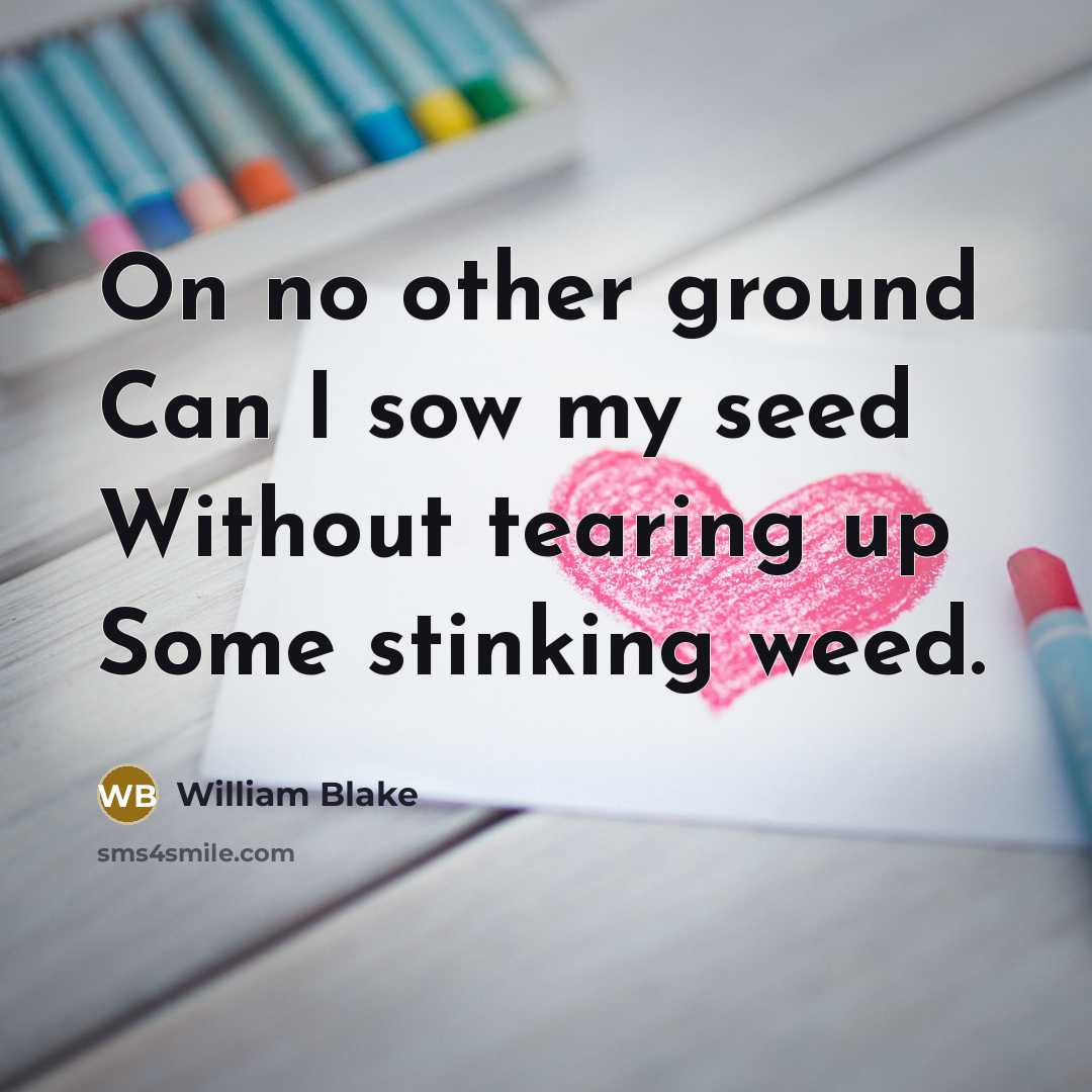 “On no other ground Can I sow my seed Without…” quote by William Blake