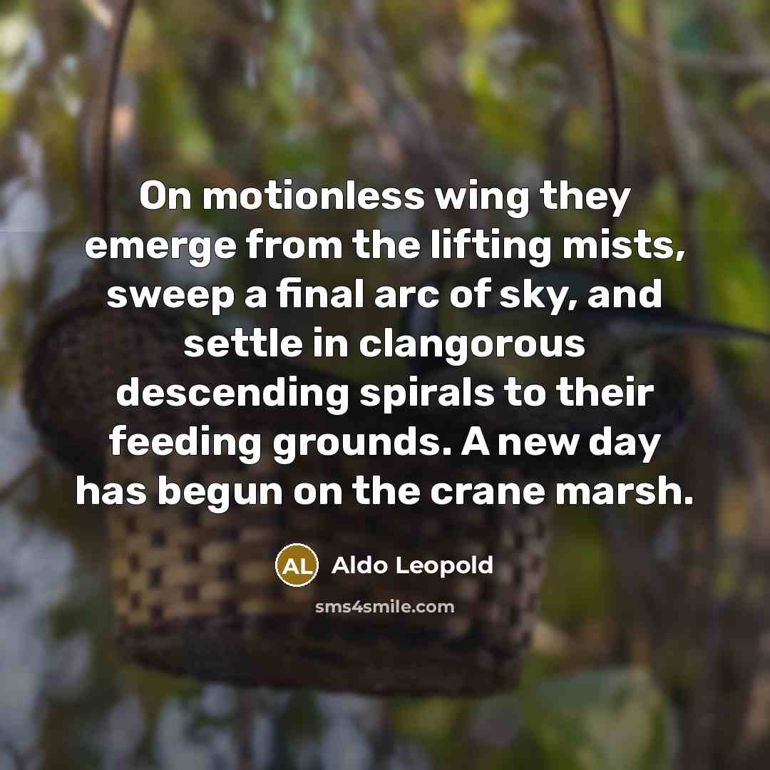 “On motionless wing they emerge from the lifting mists, sweep…” quote by Aldo Leopold