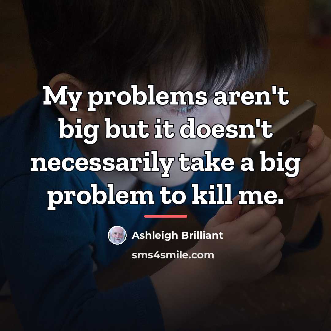 “My problems aren't big but it doesn't necessarily take a…” quote by Ashleigh Brilliant