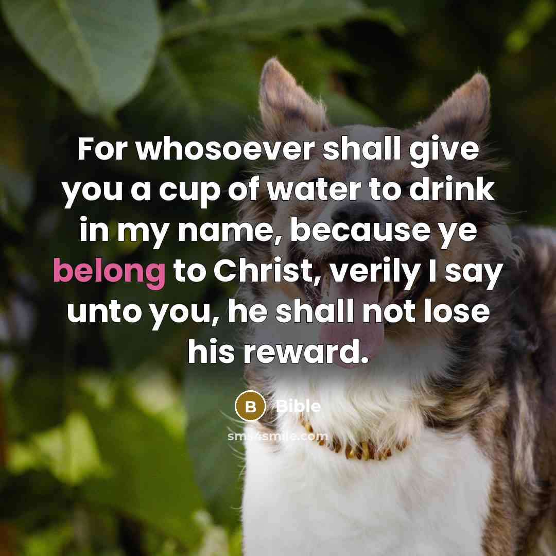 “For whosoever shall give you a cup of water to…” quote by Bible