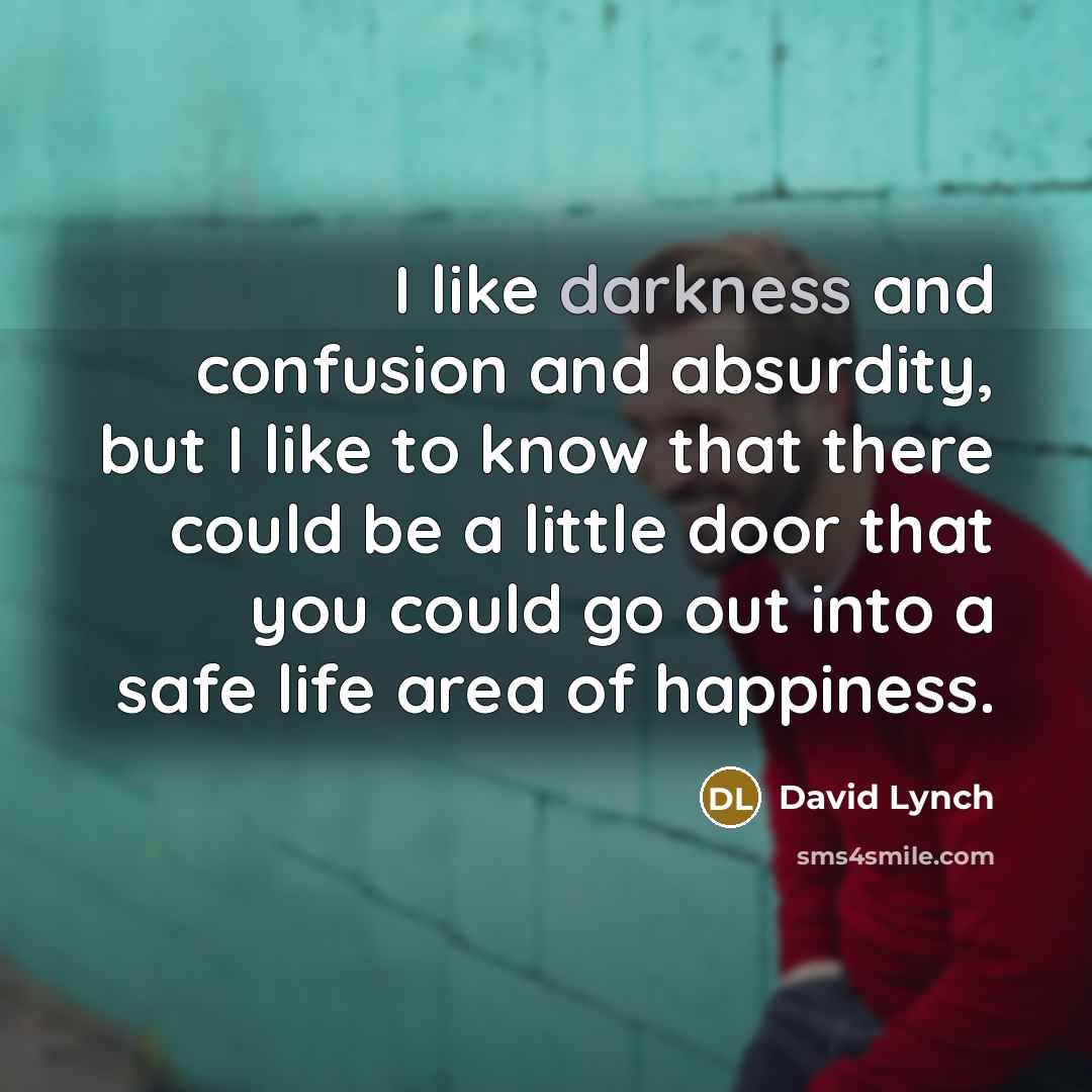“I like darkness and confusion and absurdity, but I like…” quote by David Lynch