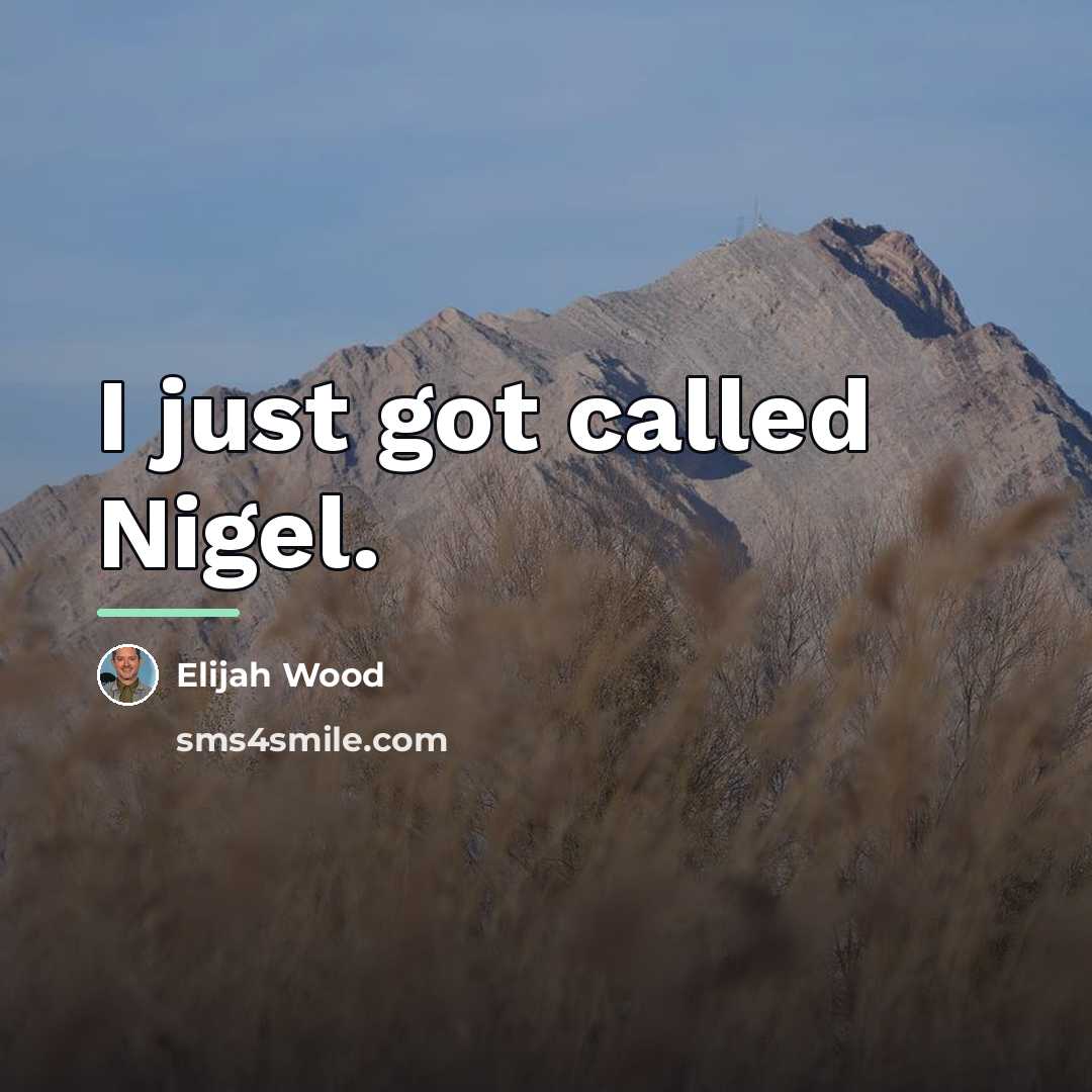 “I just got called Nigel.…” quote by Elijah Wood