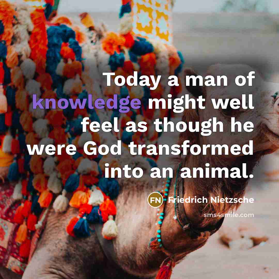 “Today a man of knowledge might well feel as though…” quote by Friedrich Nietzsche