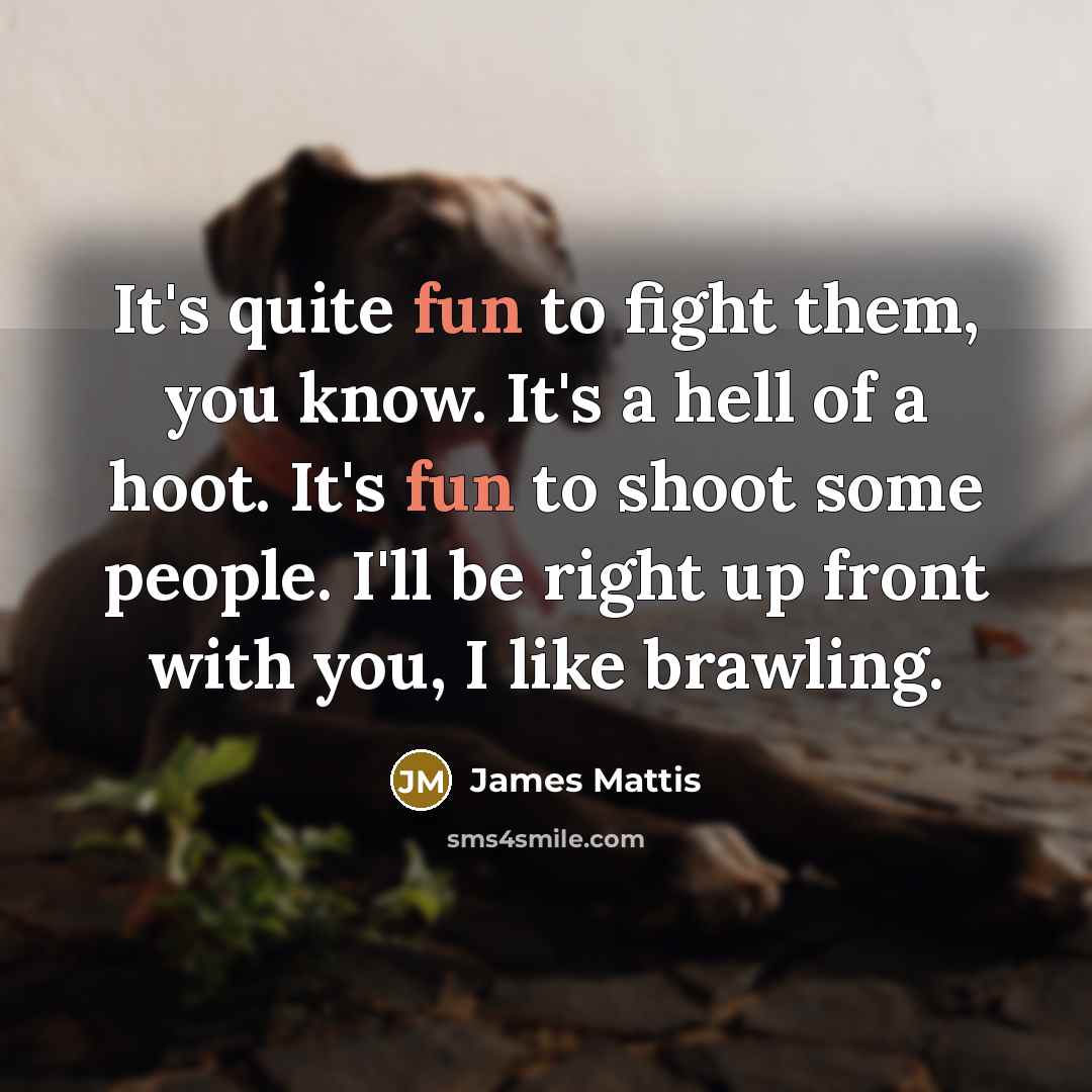 “It's quite fun to fight them, you know. It's a…” quote by James Mattis