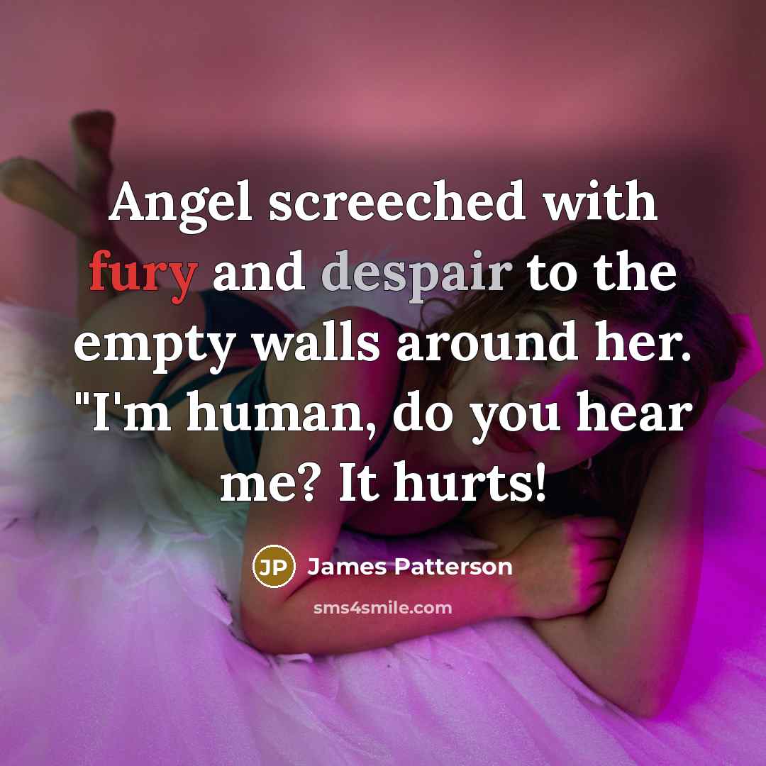“Angel screeched with fury and despair to the empty walls…” quote by James Patterson