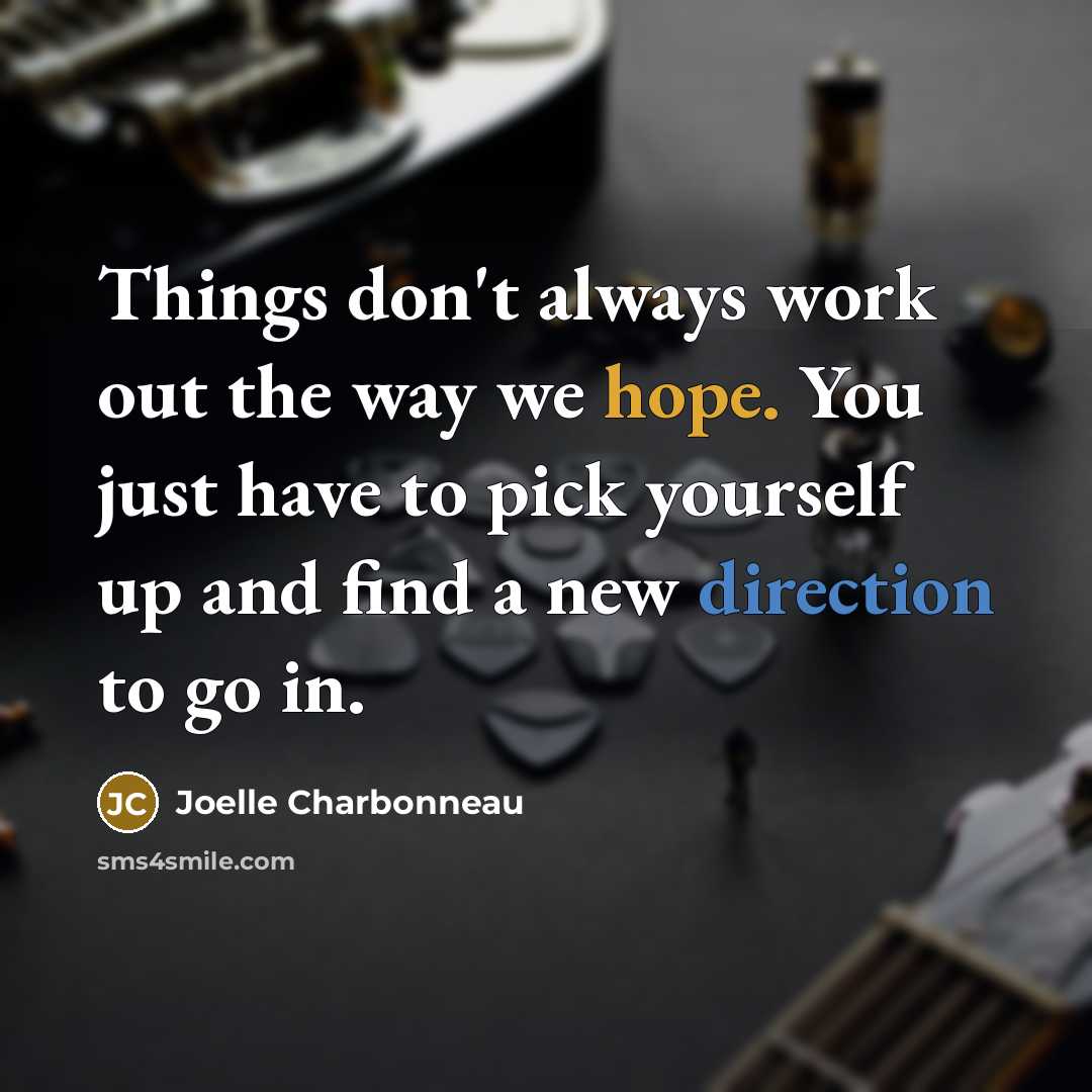 “Things don't always work out the way we hope. You just have to pick yourself up and find a new direction to go in.” quote by Joelle Charbonneau