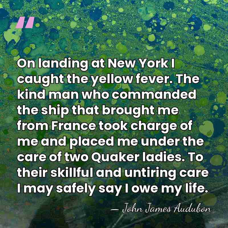 On landing at New York I caught the yellow fever. The kind&hellip; - John James Audubon