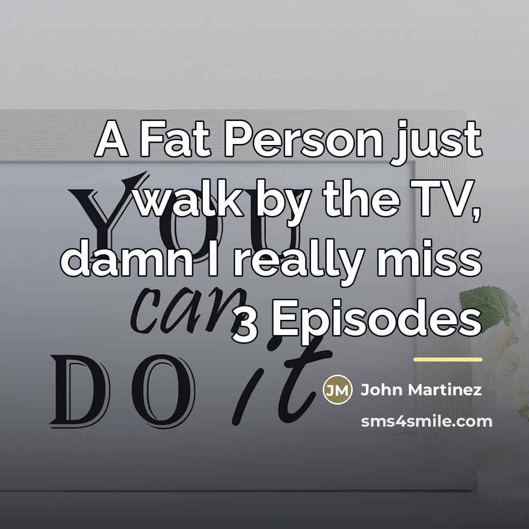 “A Fat Person just walk by the TV, damn I…” quote by John Martinez