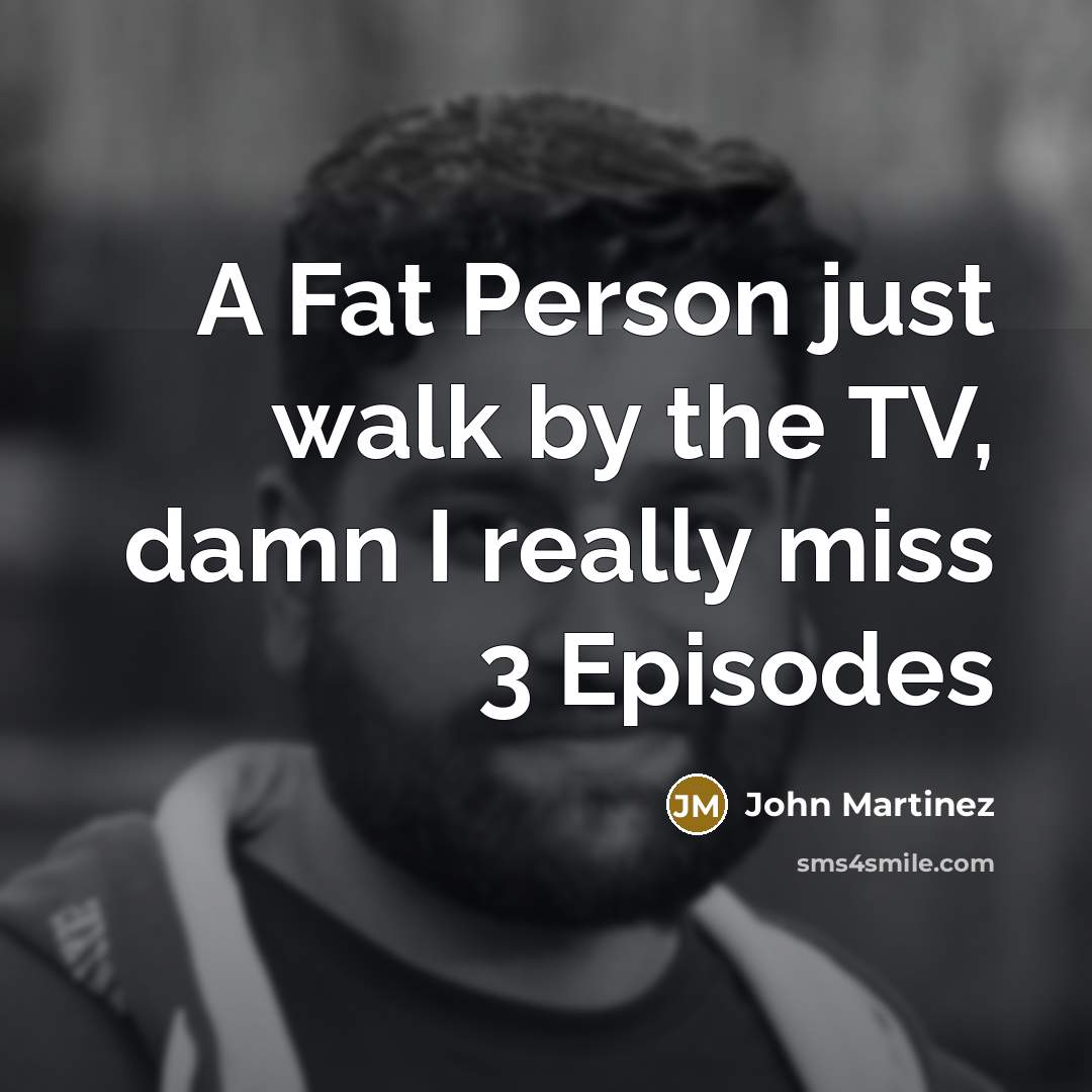 “A Fat Person just walk by the TV, damn I really miss 3 Episodes” quote by John Martinez