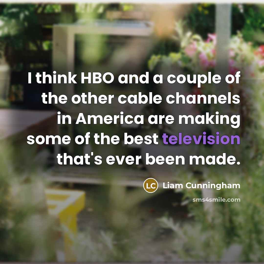 “I think HBO and a couple of the other cable…” quote by Liam Cunningham