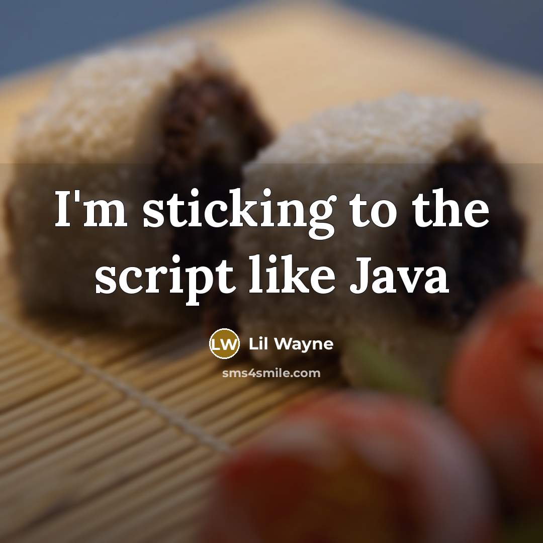 “I'm sticking to the script like Java” quote by LiL Wayne