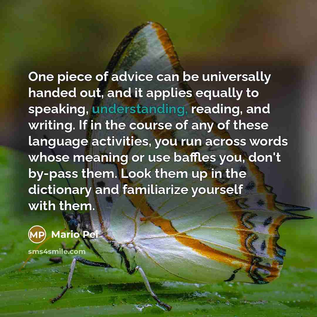 “One piece of advice can be universally handed out, and…” quote by Mario Pei