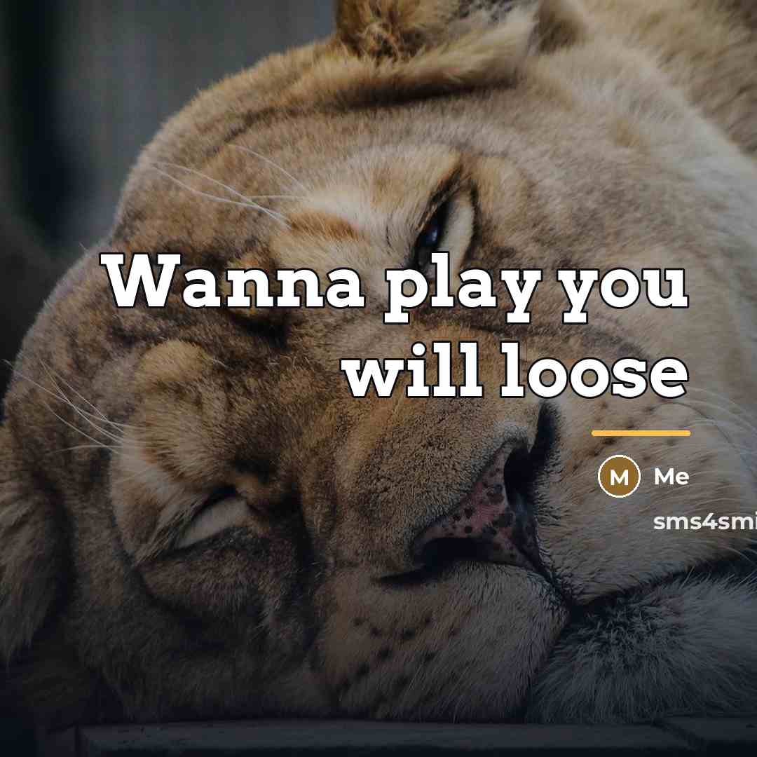 “Wanna play you will loose…” quote by Me