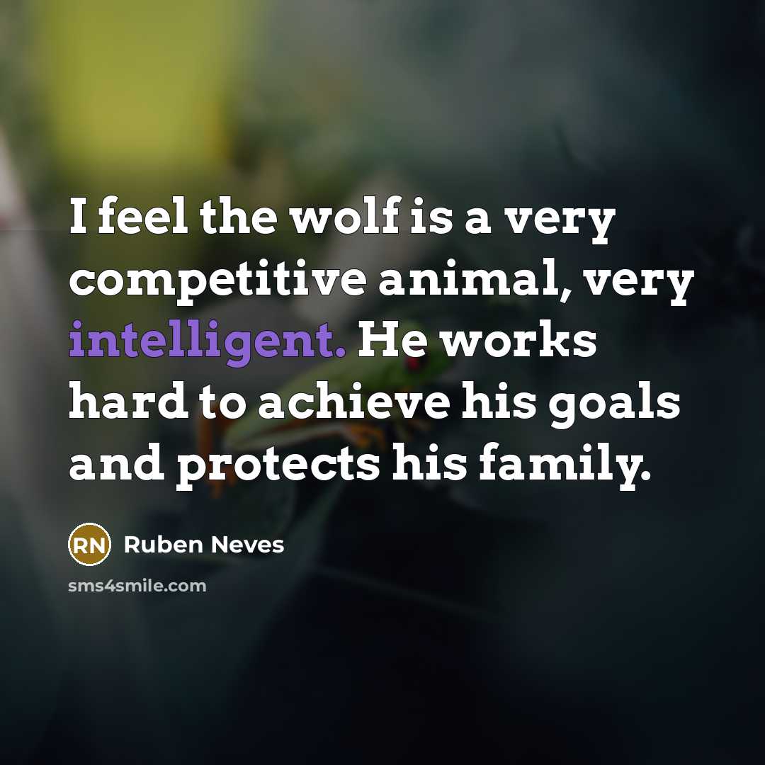 “I feel the wolf is a very competitive animal, very…” quote by Ruben Neves