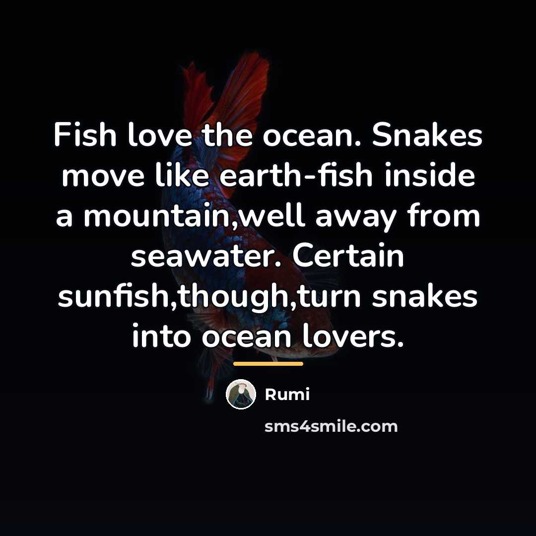 “Fish love the ocean. Snakes move like earth-fish inside a…” quote by Rumi