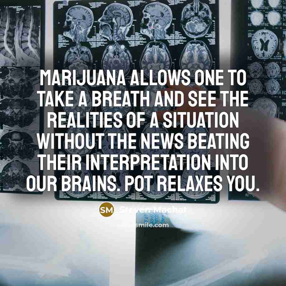 “Marijuana allows one to take a breath and see the…” quote by Steven Machat