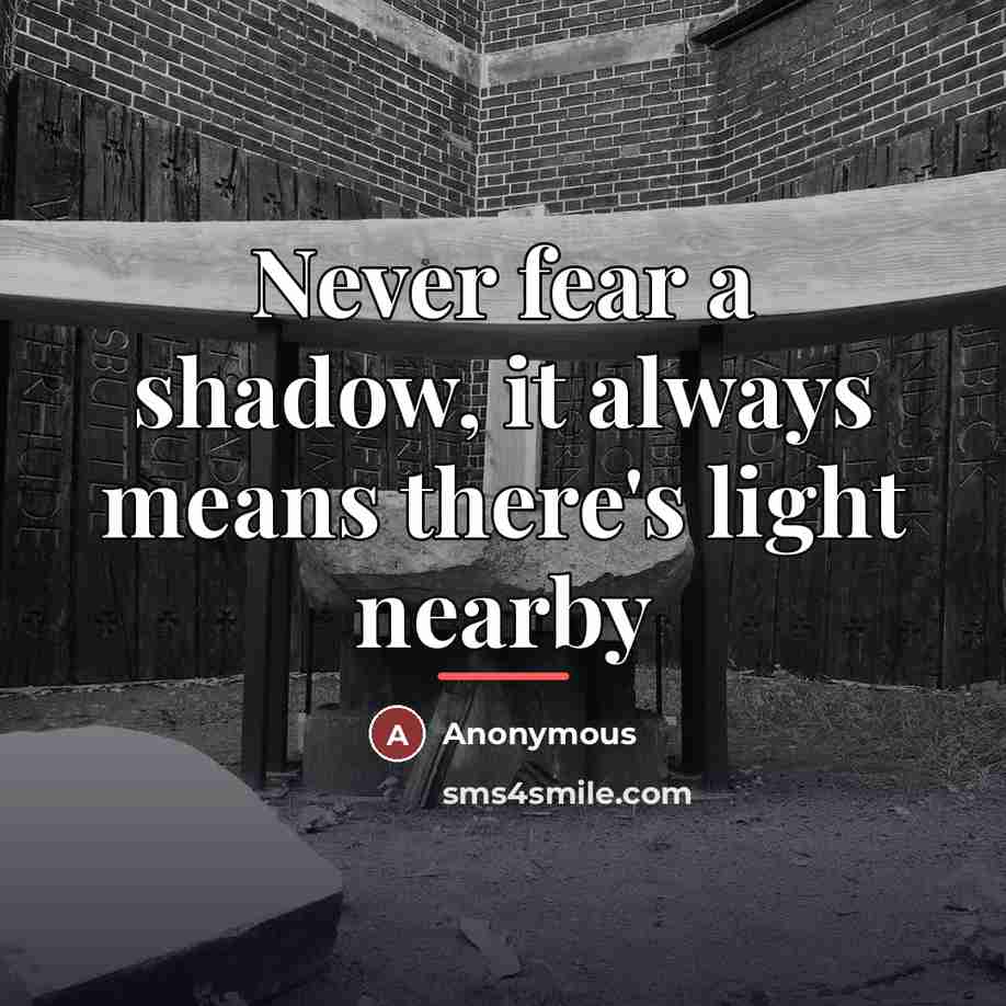 “Never fear a shadow, it always means there's light nearby…” quote by Anonymous