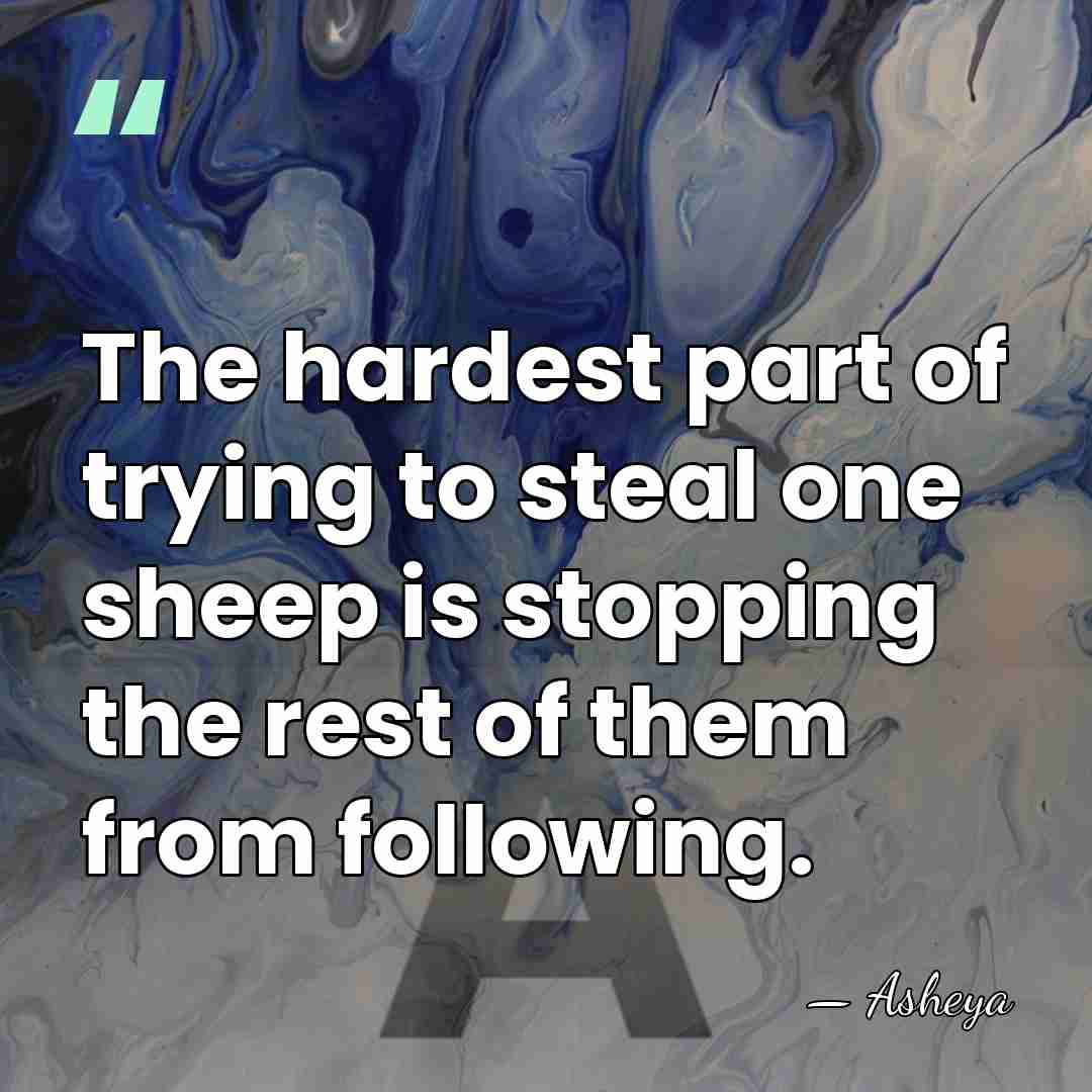 The hardest part of trying to steal one sheep is stopping the&hellip; - Asheya
