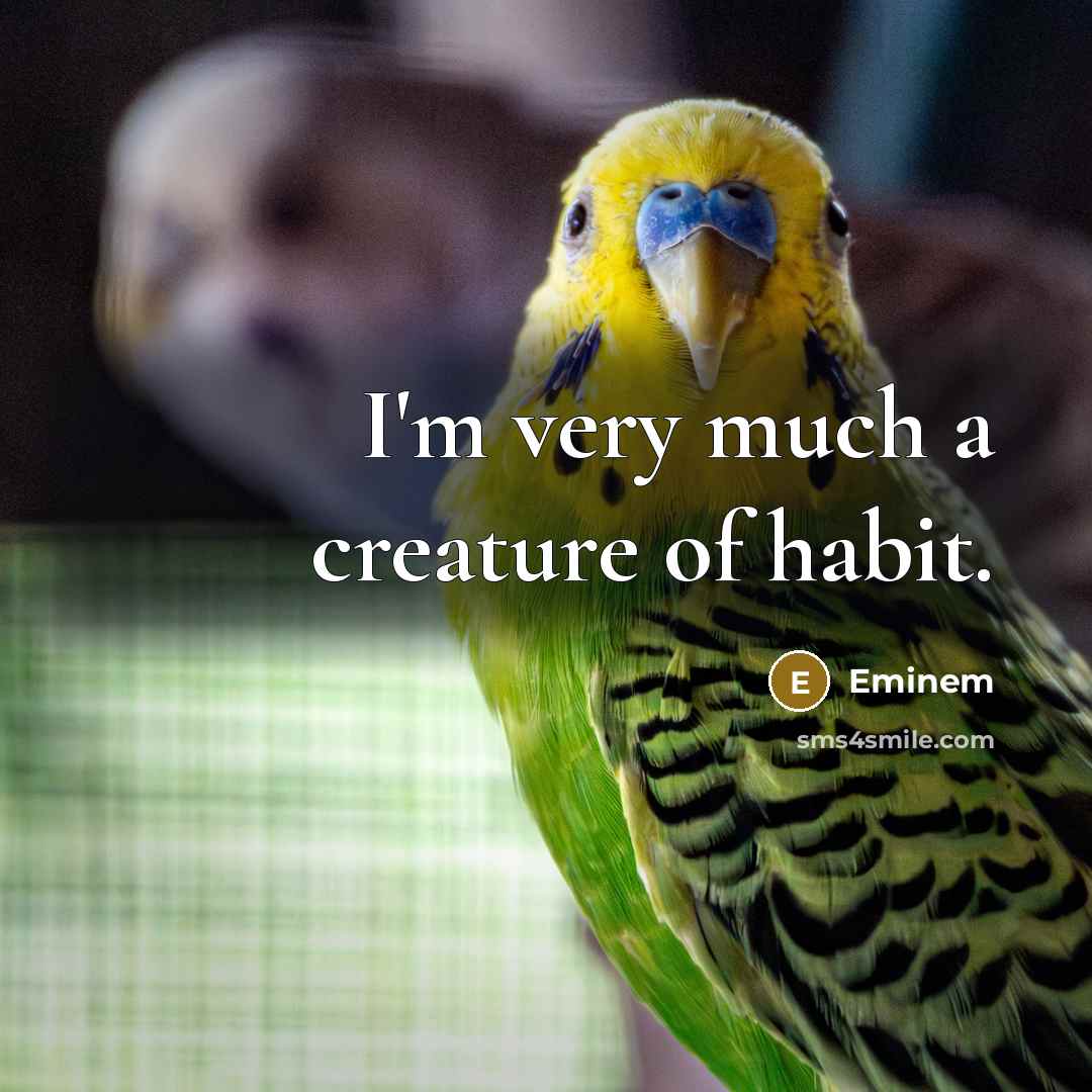 “I'm very much a creature of habit.…” quote by Eminem