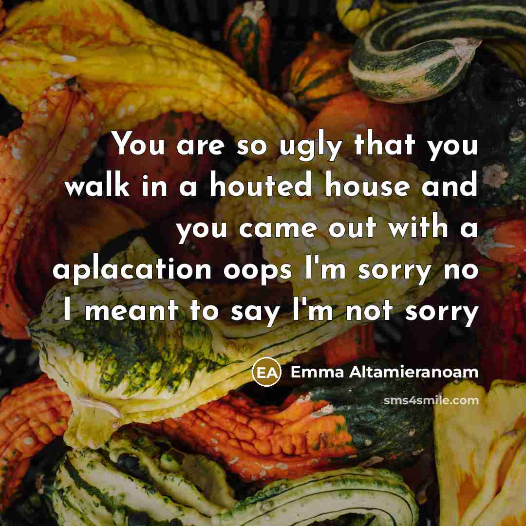 “You are so ugly that you walk in a houted house and you came out with a aplacation oops I'm sorry no I meant to say I'm not sorry” quote by Emma Altamieranoam