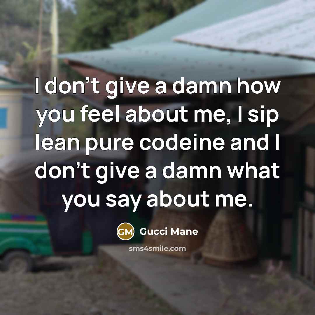 “I don't give a damn how you feel about me,…” quote by Gucci Mane