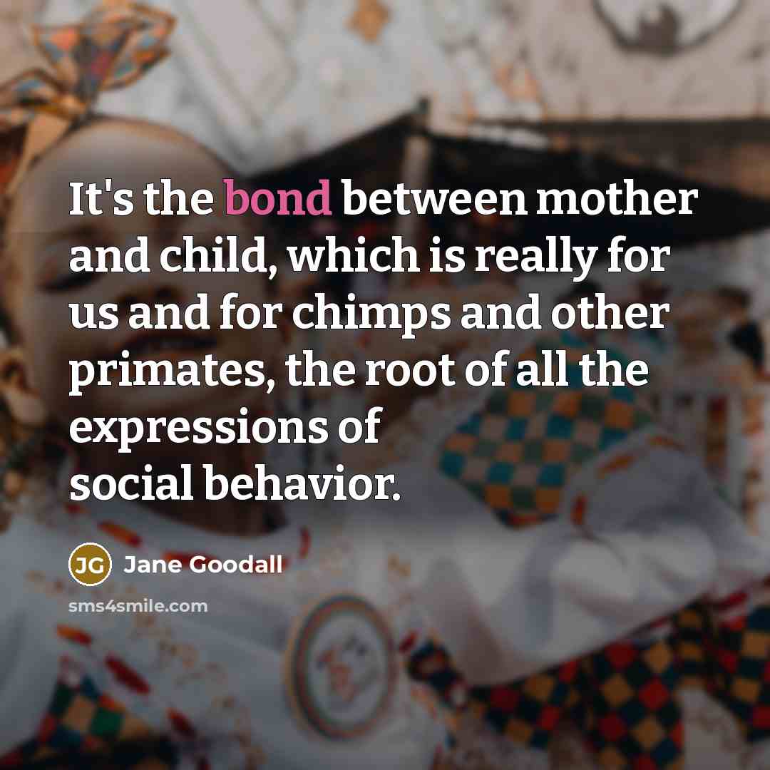 “It's the bond between mother and child, which is really…” quote by Jane Goodall