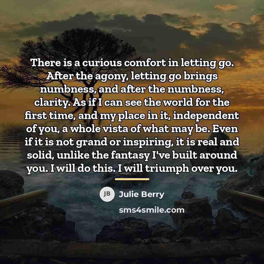 “There is a curious comfort in letting go. After the…” quote by Julie Berry