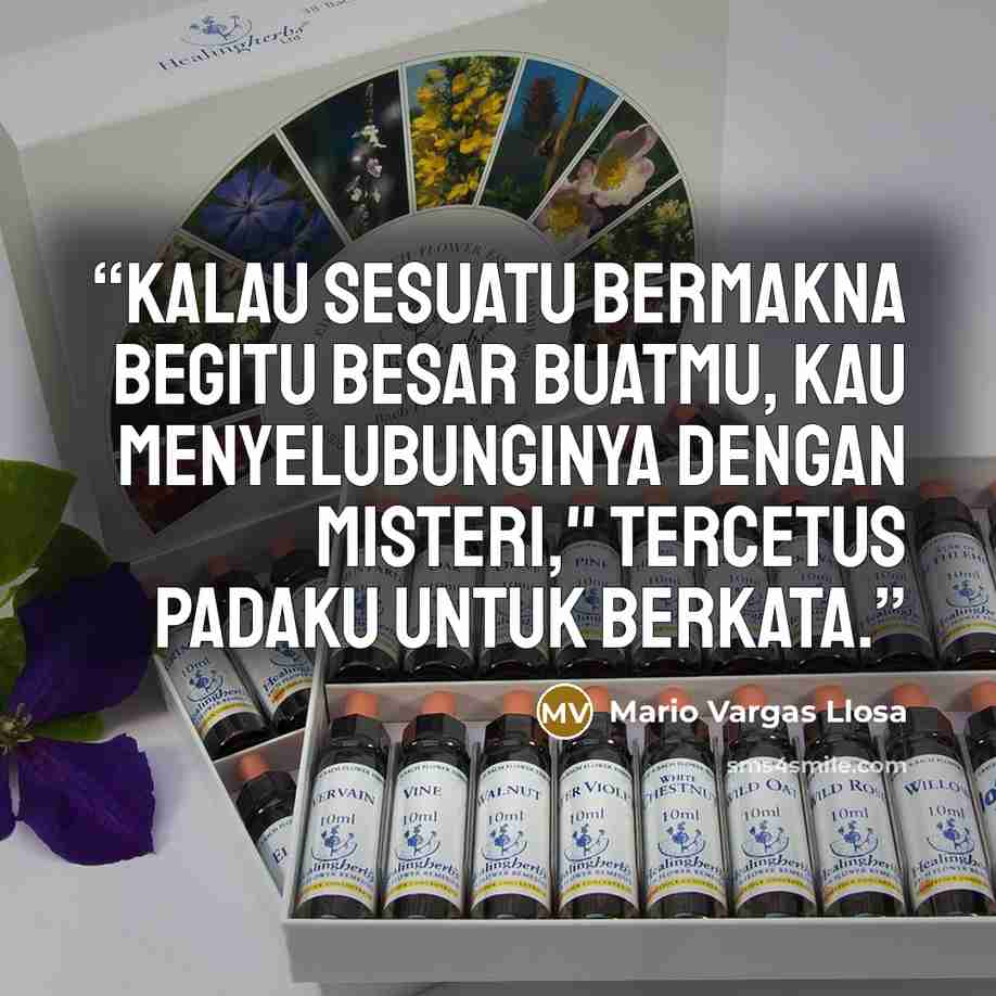 “Kalau sesuatu bermakna begitu besar buatmu, kau menyelubunginya dengan misteri," tercetus padaku untuk berkata.” quote by Mario Vargas Llosa