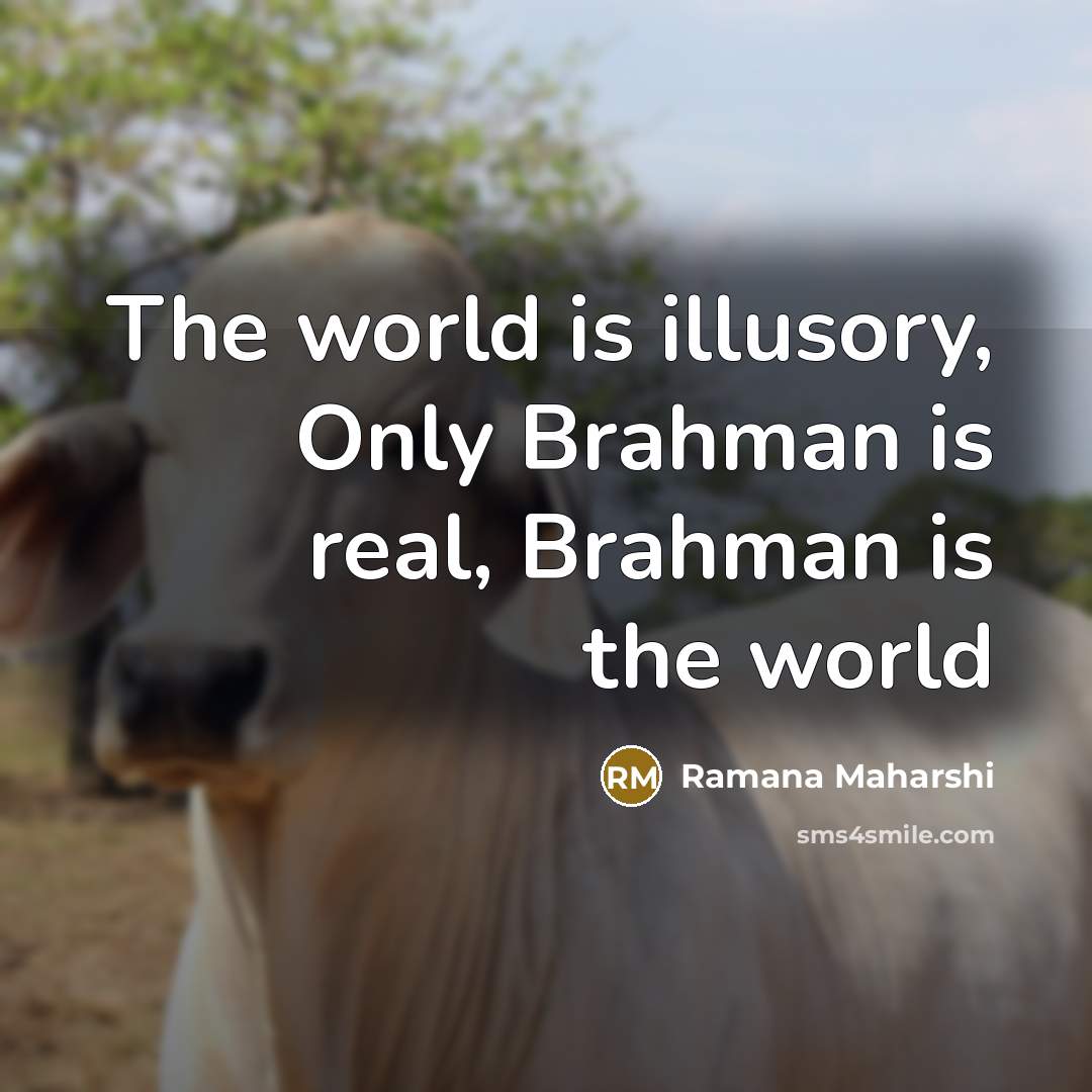 “The world is illusory, Only Brahman is real, Brahman is…” quote by Ramana Maharshi