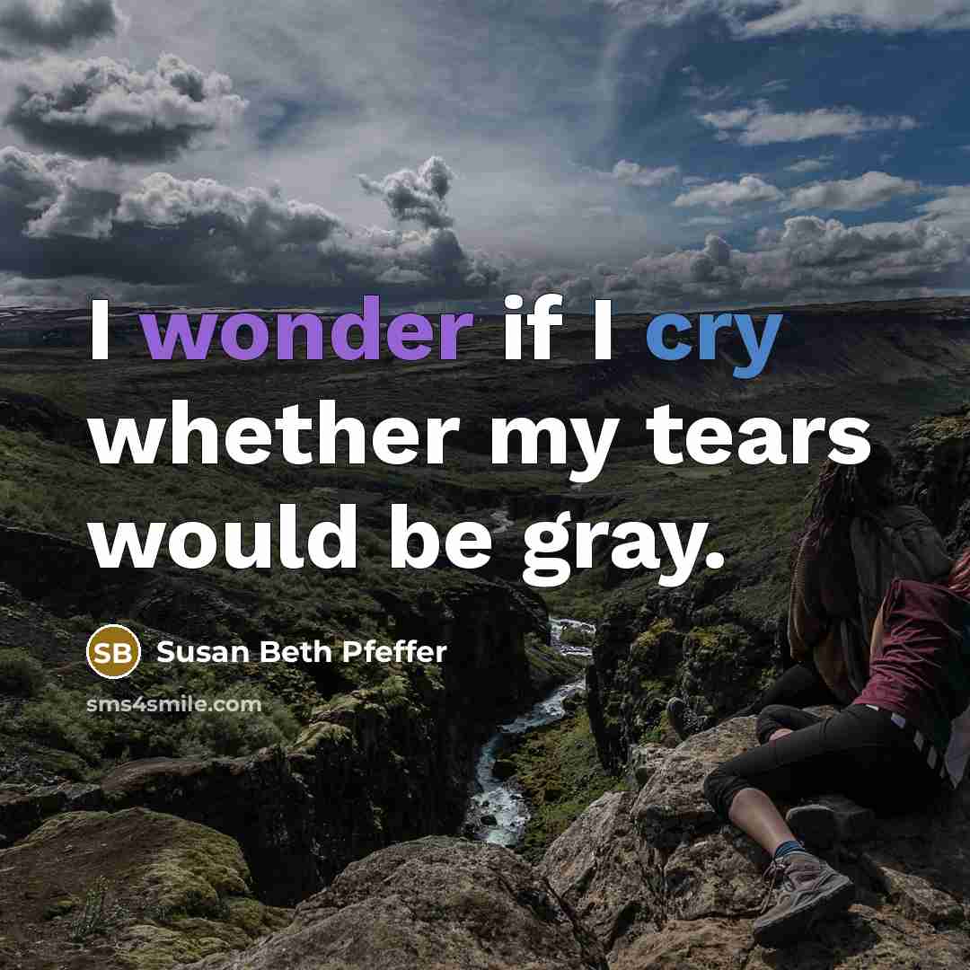 “I wonder if I cry whether my tears would be…” quote by Susan Beth Pfeffer