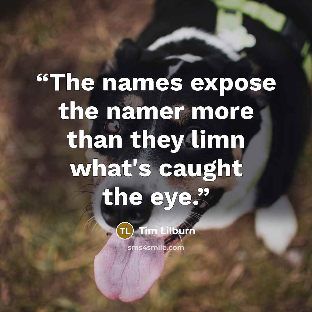 “The names expose the namer more than they limn what's caught the eye.” quote by Tim Lilburn