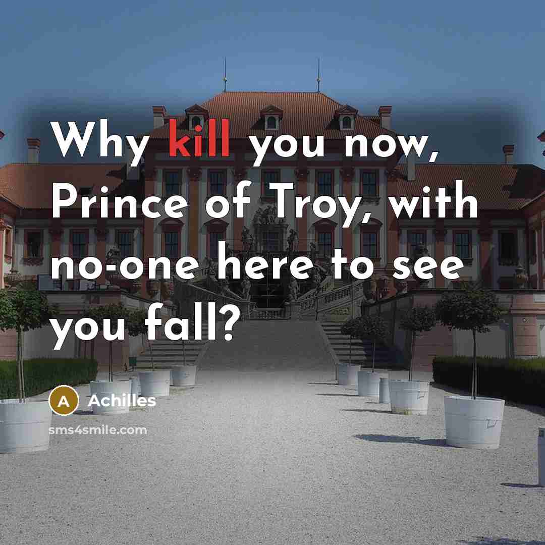 “Why kill you now, Prince of Troy, with no-one here to see you fall?” quote by Achilles