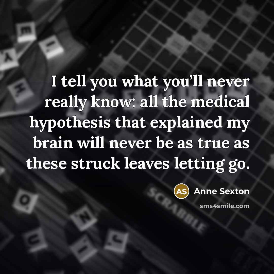 “I tell you what you’ll never really know: all the…” quote by Anne Sexton