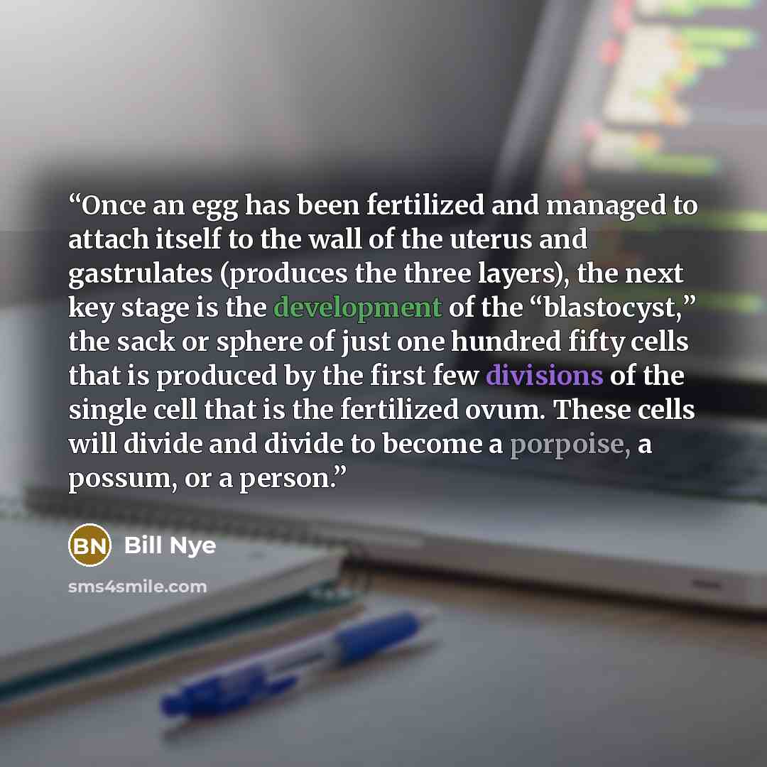 “Once an egg has been fertilized and managed to attach itself to the wall of the uterus and gastrulates (produces the three layers), the next key stage is the development of the “blastocyst,” the sack or sphere of just one hundred fifty cells that is produced by the first few divisions of the…” quote by Bill Nye