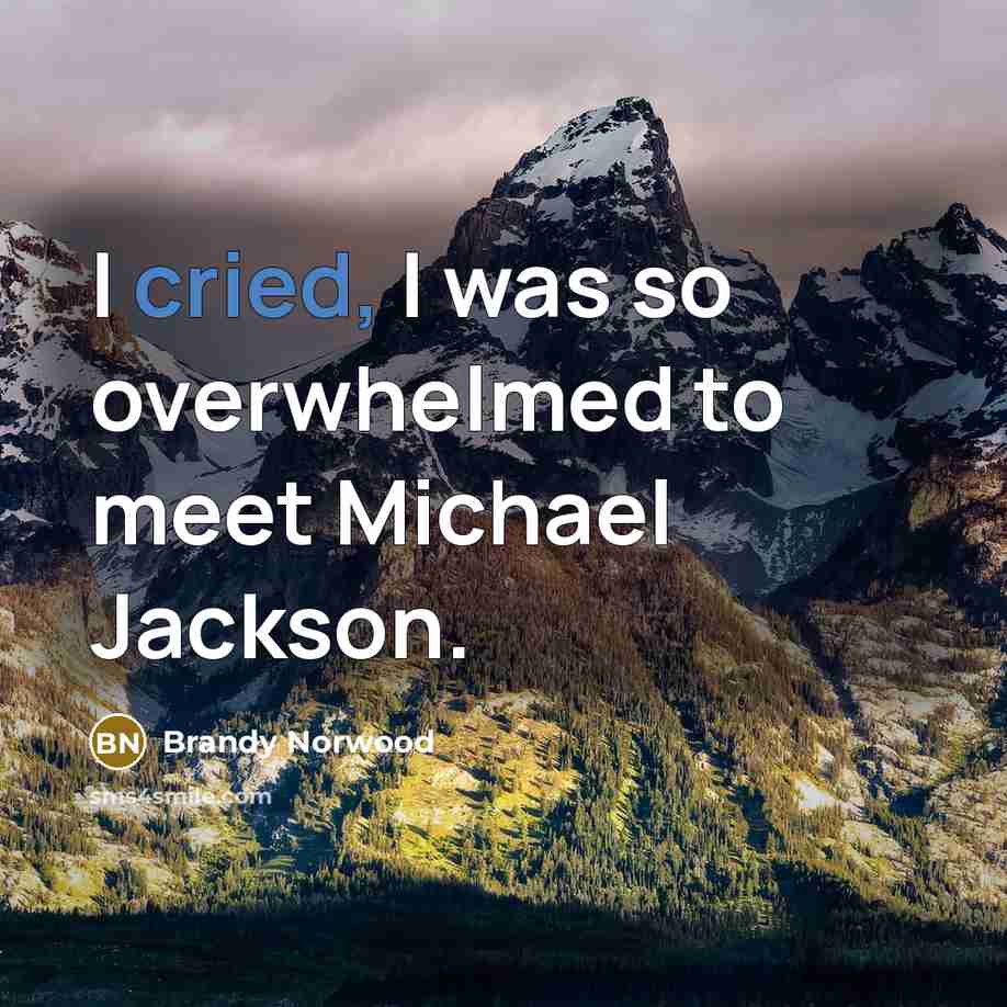 “I cried, I was so overwhelmed to meet Michael Jackson.…” quote by Brandy Norwood